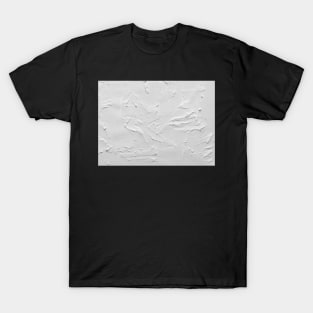 Photo of white wall T-Shirt